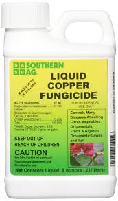 LIQUID COPPER FUNGICIDE 8 OZ