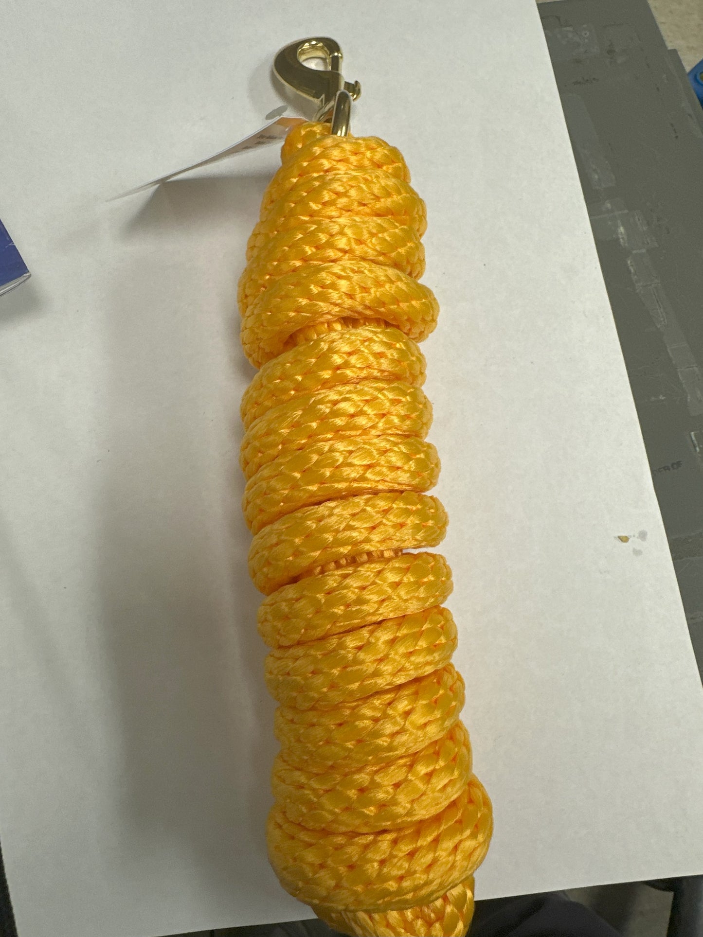 LEAD ROPE 10' W/BRASS BOLT MARIGOLD