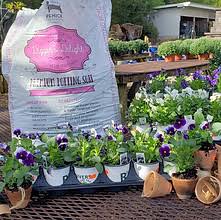 potting mix for hanging plants PENICKS ORGANICS POTTING SOIL 1.5 CF – Riverside Feed and Seed