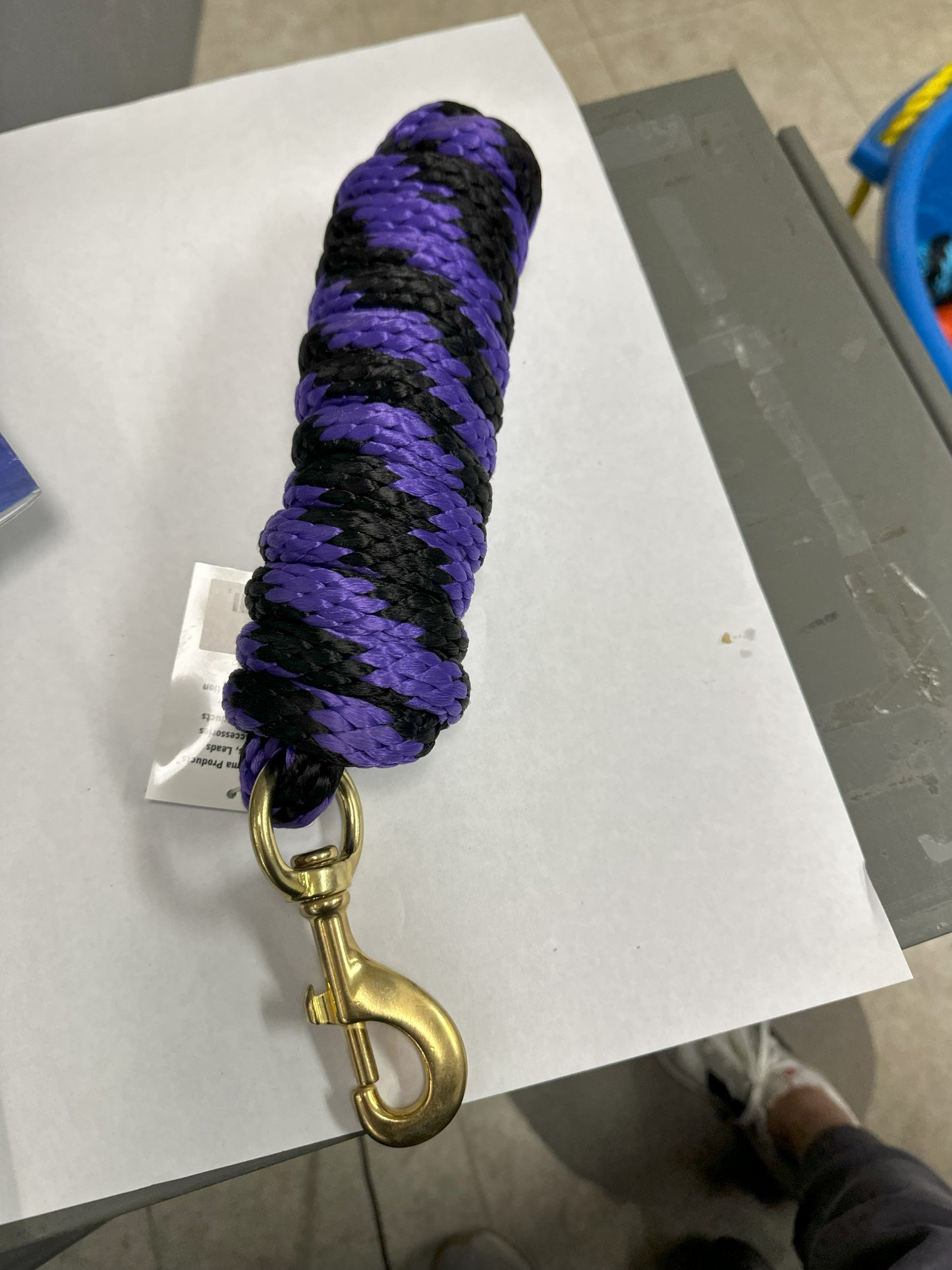 LEAD ROPE 10' W/BRASS BOLT PURPLE/BLACK