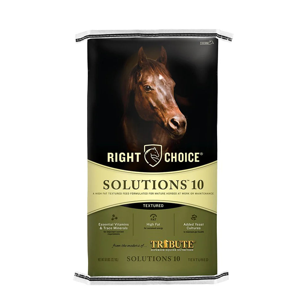 RIGHT CHOICE SOLUTIONS 10 TEXTURED