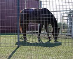 AG WIRE PANEL 2 x 4 12FT 4 GA HORSE (FORM ST: EXC-2)
