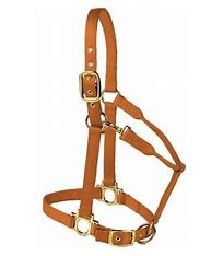 HORSE HALTER SMALL 500-800# W/ADJ CHIN & SNAP