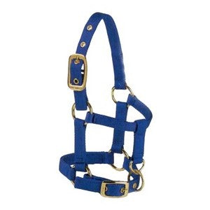 HORSE HALTER MEDIUM 800-1100 # W/ADJ CHIN & SNAP