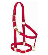 HORSE HALTER MEDIUM 800-1100 # W/ADJ CHIN & SNAP