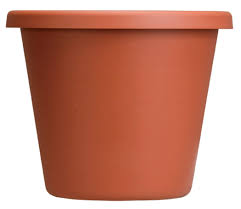 10 IN CLASSIC CLAY POT ARGILE