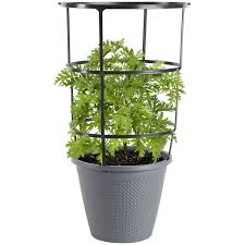 POT WITH CAGE 11 IN BONNIE