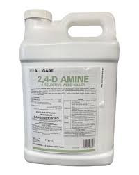 2,4-D AMINE 2.5 GALLON