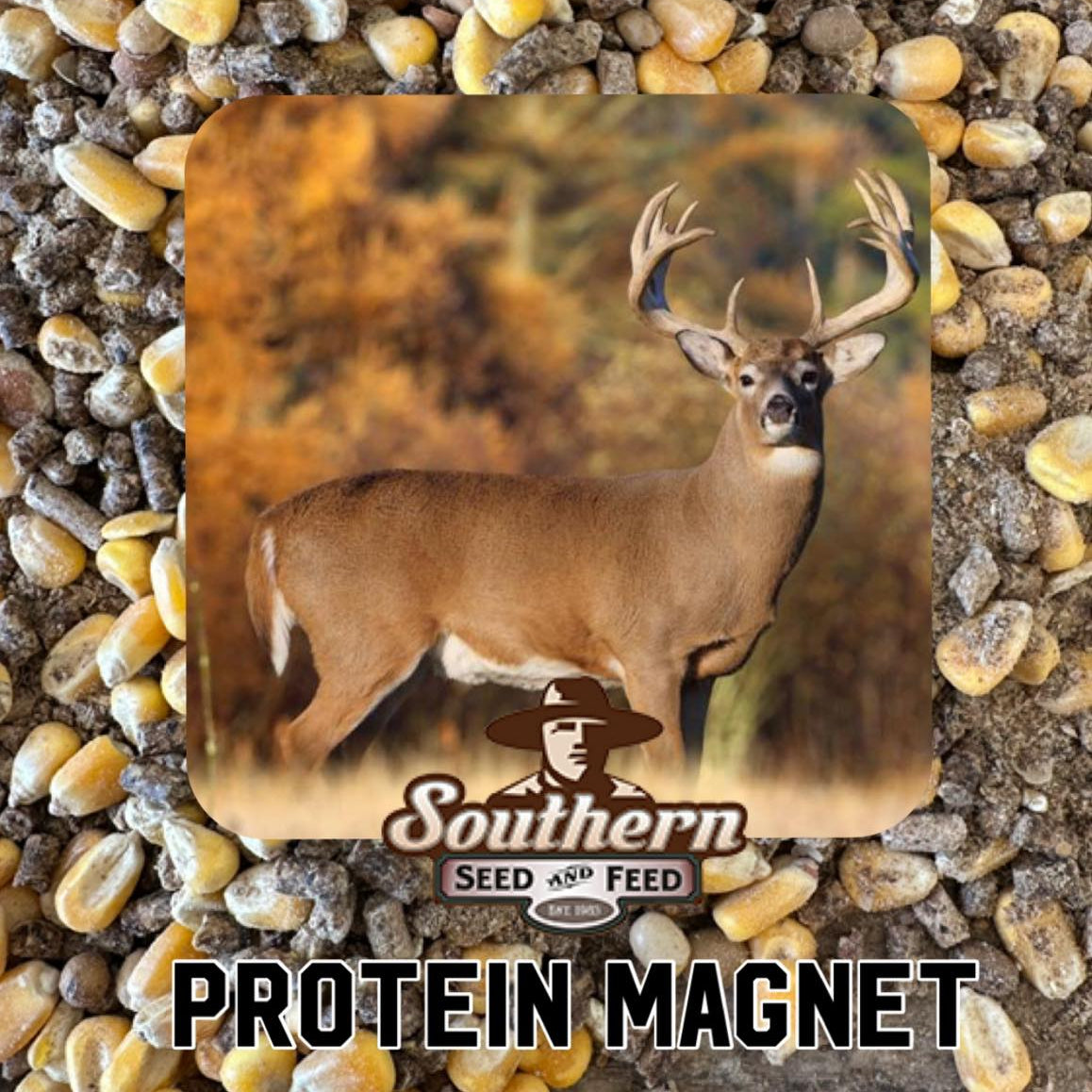 SOUTHERN BUCK PROTEIN MAGNET 50#