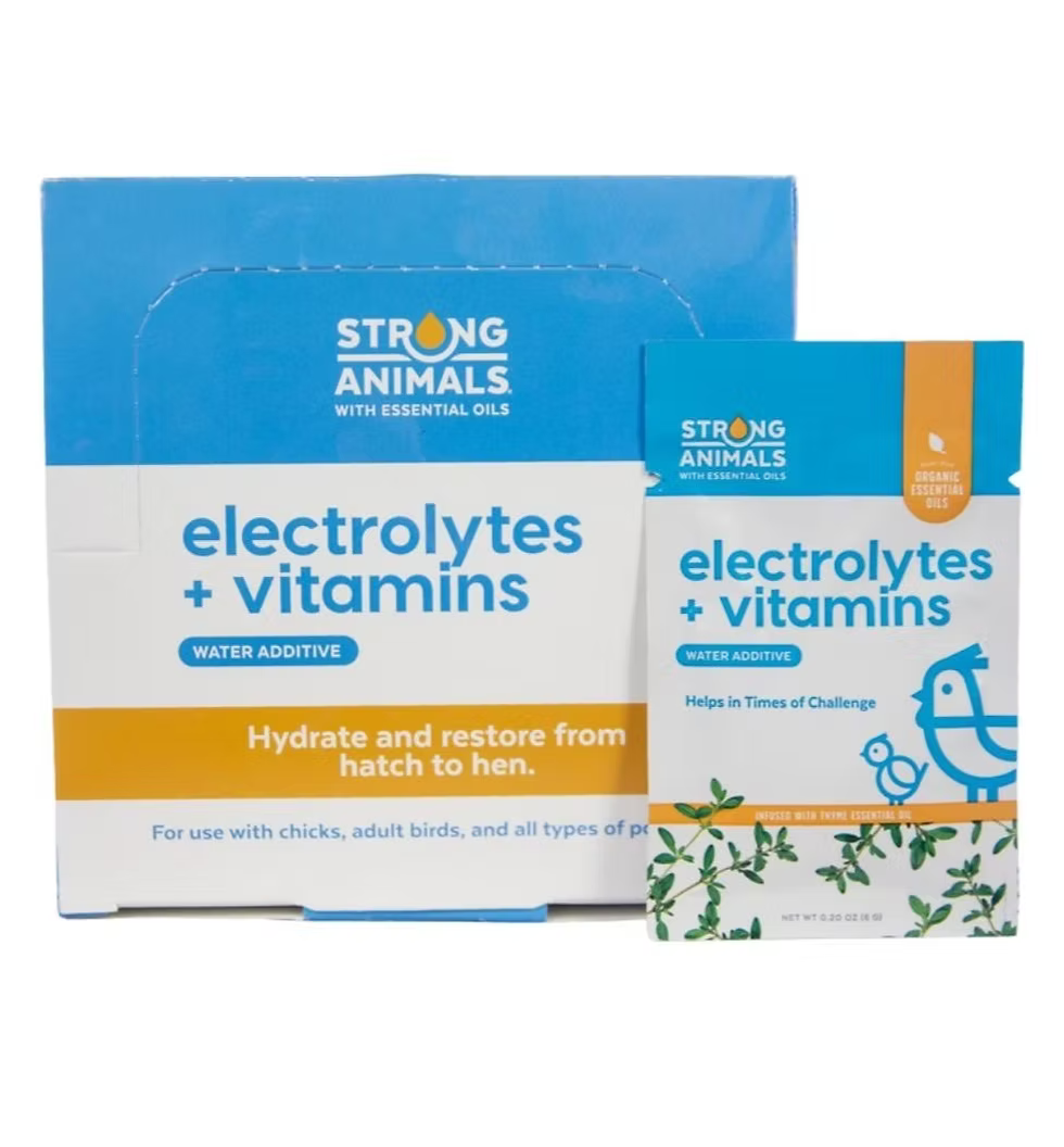 VITAMINS & ELECTROLYTES 6 G W/ESSENTIAL OILS