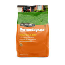 BERMUDAGRASS PENNINGTON 5#