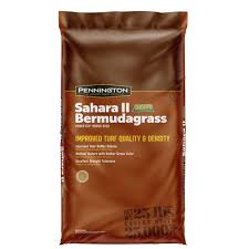 BERMUDAGRASS SAHARA PENNINGTON #