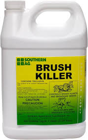 BRUSH KILLER 1 GAL