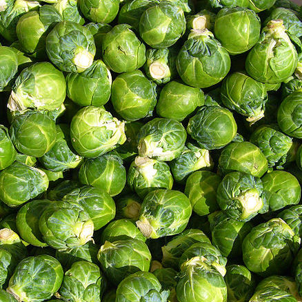 LONG ISLAND BRUSSEL SPROUT OZ.