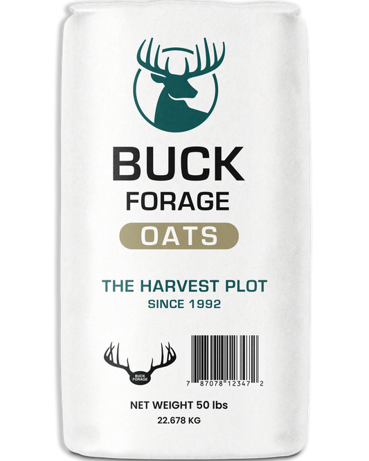 SEED BUCK FORAGE OATS 50#