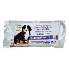 CANINE SPECTRA 5 ONE DOSE W/SYRINGE