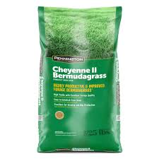 CHEYENNE BERMUDAGRASS 25#