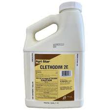 CLETHODIM 2.5 GAL