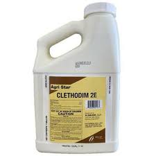 CLETHODIM 2E 1 GAL