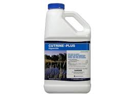 CUTRINE PLUS 1 GAL