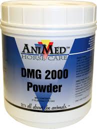 DMG 2000 POWDER 16 OZ