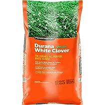 DURANA WHITE CLOVER 25#