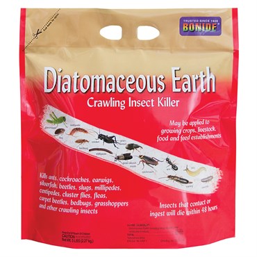 DIATOMACEOUS EARTH 5 LB