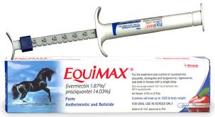 EQUIMAX IVERMECTIN PASTE APPLE FLAVOR