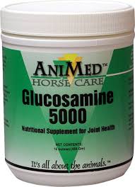 GLUCOSAMINE 5000 16 OZ ANIMED