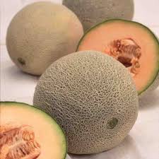 HALES BEST CANTALOUPE OZ