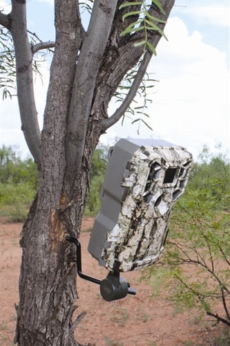 ECONOMY TRAIL CAMERA HOLDER