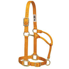 HORSE HALTER MARIGOLD 1100-1500#