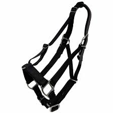 HORSE HALTER COLT BLACK  200-300#