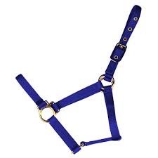 HORSE HALTER COLT BLUE 200-300#