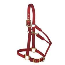 HORSE HALTER COLT COPPER 200-300#