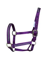 HORSE HALTER COLT PURPLE 200-300-#