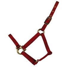 HORSE HALTER COLT ROSEBERRY 1100-1500#