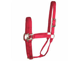 HORSE HALTER COLT RED 200-300#