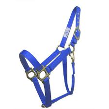 HORSE HALTER LARGE BLUE 1100-1500#