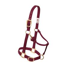 HORSE HALTER LARGE BURGANDY 1100-1500#