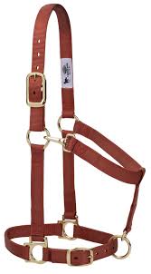 HORSE HALTER LARGE COPPER 1100-1500#