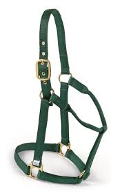 HORSE HALTER LARGE HUNTER GREEN 1100-1500#