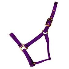 HORSE HALTER LARGE PURPLE 1100-1500#