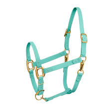 HORSE HALTER LARGE TURQUOISE 1100-1500#