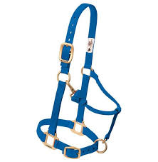 HORSE HALTER MEDIUM 800-1100 # BLUE