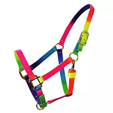 HORSE HALTER MEDIUM 800-1100 # RAINBOW