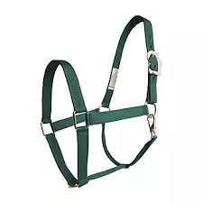 HORSE HALTER MEDIUM 800-1100 # GREEN