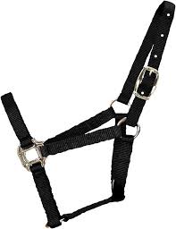 HORSE HALTER PONY BLACK 100-200 #