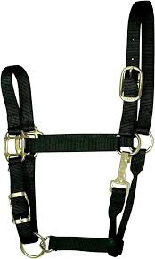 HORSE HALTER SMALL BLACK 500-800#