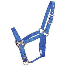 HORSE HALTER SMALL BLUE 500-800#